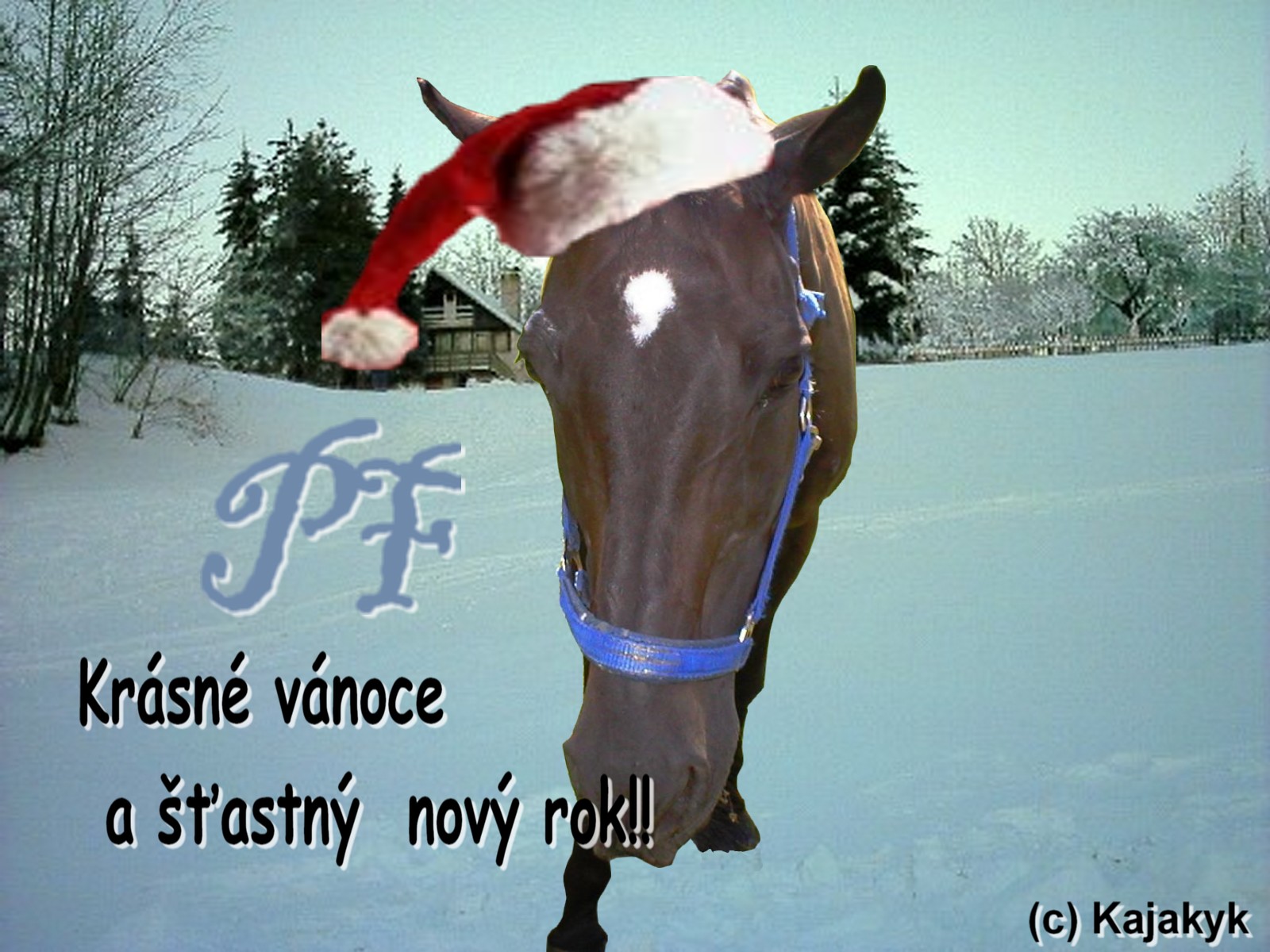 PF.jpg